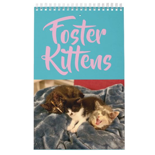2019 Foster Kitten Agenda Kalender (Hoes)