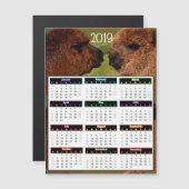 2019 Grappige MiniKalender Alpacas Magnetische Uitnodiging (Voorkant / Achterkant)
