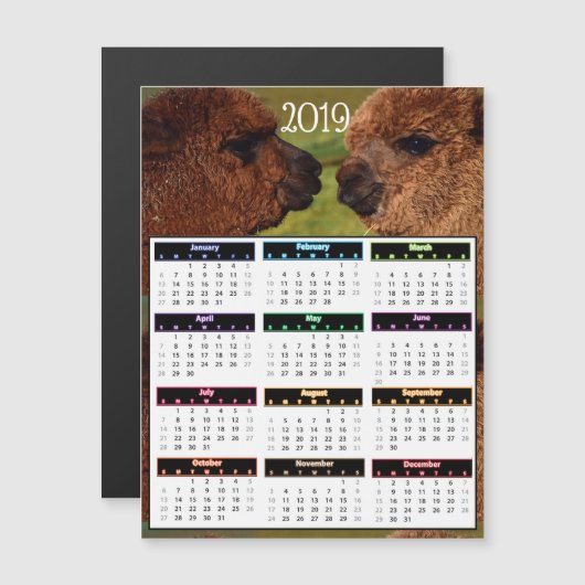 2019 Grappige MiniKalender Alpacas Magnetische Uitnodiging (Voorkant / Achterkant)