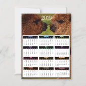 2019 Grappige MiniKalender Alpacas Magnetische Uitnodiging (Voorkant)