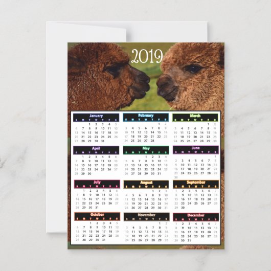 2019 Grappige MiniKalender Alpacas Magnetische Uitnodiging (Voorkant)