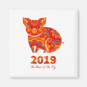 2019 Jaar van het PIG Magneet