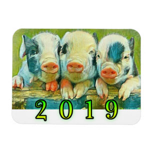 2019 Jaar van het Varken Magneet