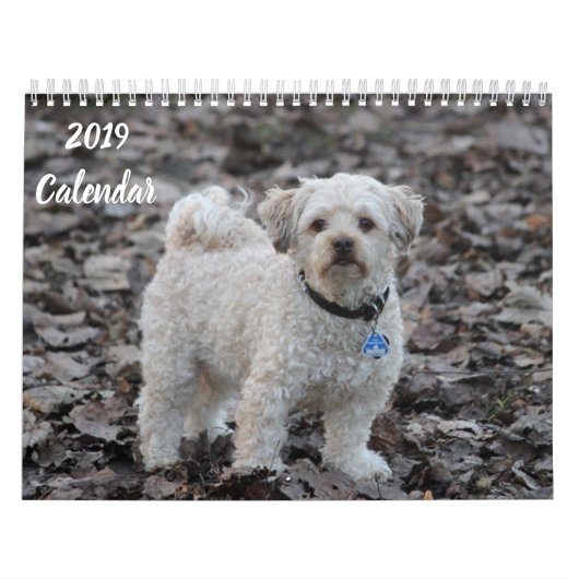2019 Kalender Afbeeldingen voor portaalgebruik (Hoes)
