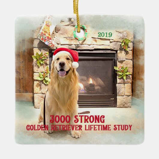 2019 kerstversiering - 3000 sterk keramisch ornament (Voorkant)