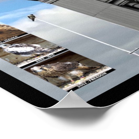 2019 Mariah en Kaver 13x19 Poster in Kodak Tower (Hoek)