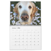 2019 met ParkerPup, Reser & Gill Kalender (Jan 2026)