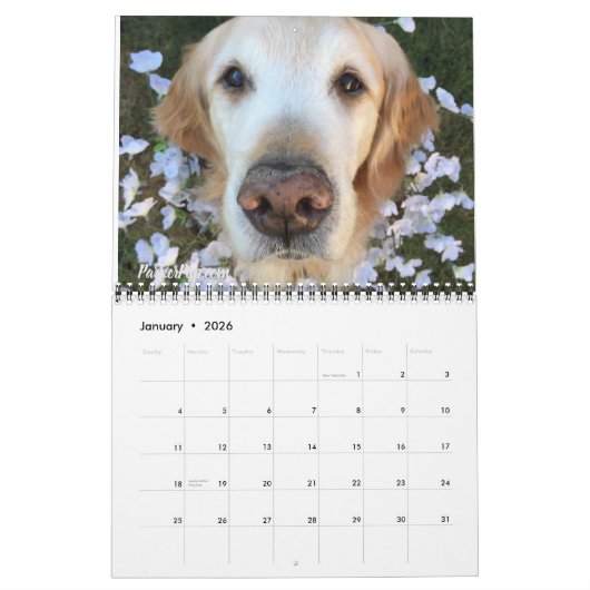 2019 met ParkerPup, Reser & Gill Kalender (Jan 2026)
