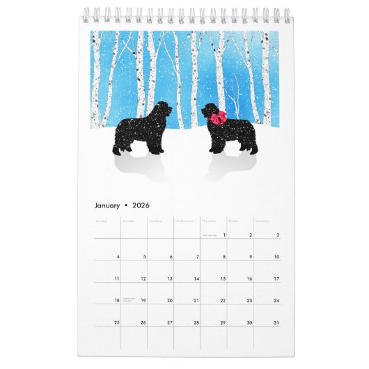 2019 Newfoundland Dog Calendar Kalender (Jan 2026)