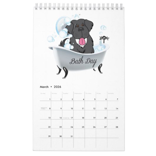 2019 Newfoundland Dog Calendar Kalender (Mar 2026)