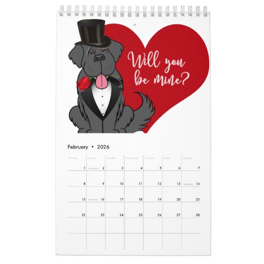 2019 Newfoundland Dog Calendar Kalender (Feb 2026)