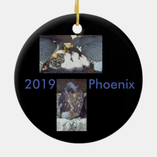 2019 Ornament van keramische stoffen Phoenix (Achterkant)
