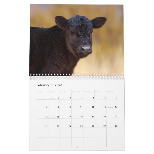 2019 Schattige baby-dieren Kalender (Feb 2026)