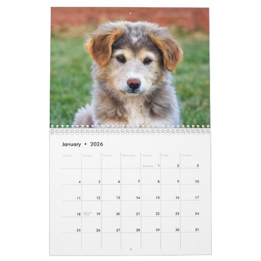 2019 Schattige baby-dieren Kalender (Jan 2026)