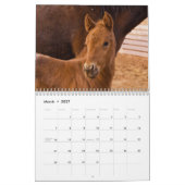 2019 Schattige baby-dieren Kalender (Mar 2027)