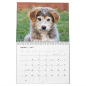2019 Schattige baby-dieren Kalender (Jan 2027)