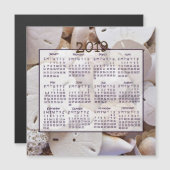 2019 Shells Sand Dollar Mini Magnet Kalenders (Voorkant / Achterkant)