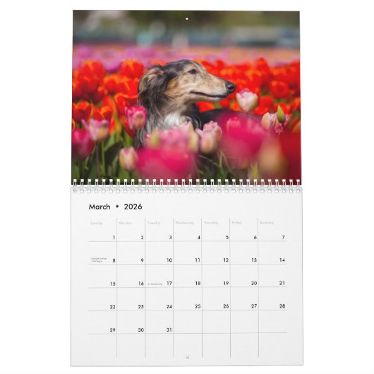 2019 Silken Windhound van Pauline Ng Kalender (Mar 2026)