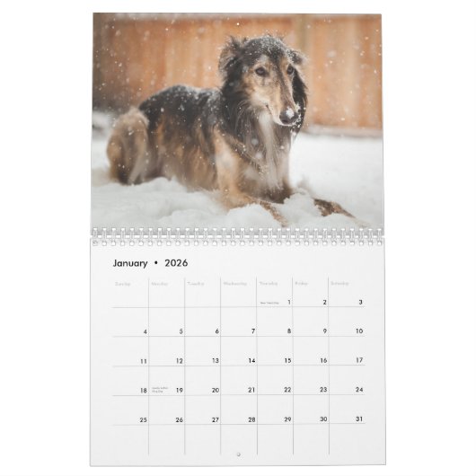 2019 Silken Windhound van Pauline Ng Kalender (Jan 2026)