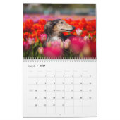 2019 Silken Windhound van Pauline Ng Kalender (Mar 2027)