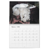 2019 Silken Windhounds met anderen 2 Kalender (Feb 2026)