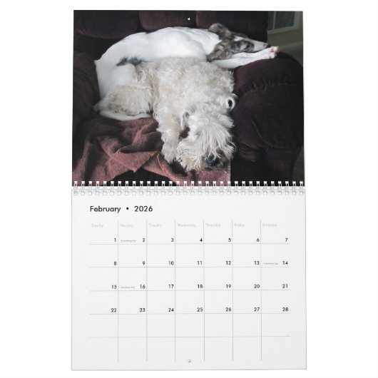 2019 Silken Windhounds met anderen 2 Kalender (Feb 2026)