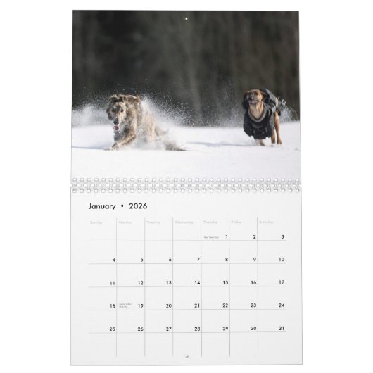2019 Silken Windhounds met anderen 2 Kalender (Jan 2026)