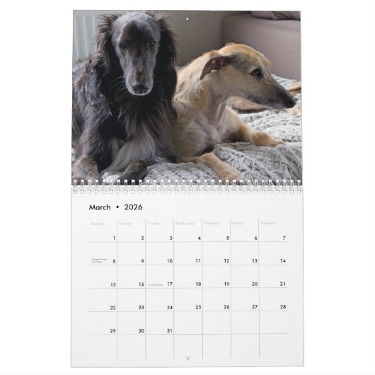 2019 Silken Windhounds met anderen Kalender (Mar 2026)
