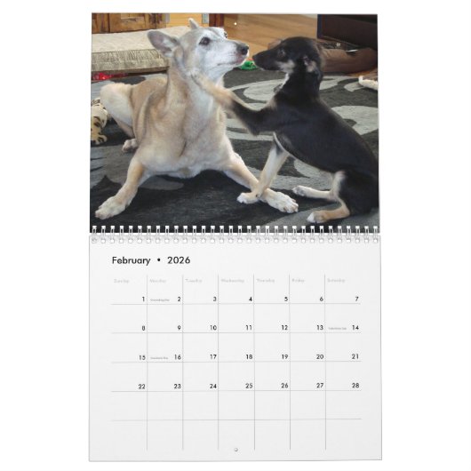 2019 Silken Windhounds met anderen Kalender (Feb 2026)