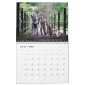 2019 Silken Windhounds met anderen Kalender (Jan 2026)