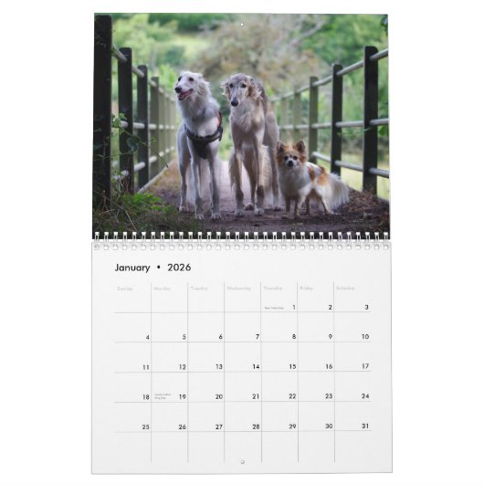 2019 Silken Windhounds met anderen Kalender (Jan 2026)