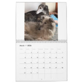 2019 Silken Windhounds Portretten Kalender (Mar 2026)