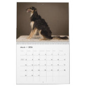 2019 Silken Windhounds Posing Kalender (Mar 2026)