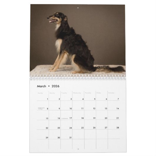 2019 Silken Windhounds Posing Kalender (Mar 2026)