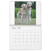 2019 Silken Windhounds Posing Kalender (Feb 2026)