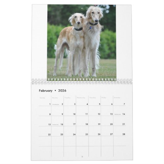2019 Silken Windhounds Posing Kalender (Feb 2026)