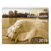 2019 Silken Windhounds Posing Kalender (Hoes)