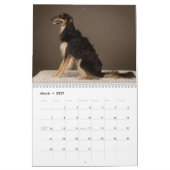 2019 Silken Windhounds Posing Kalender (Mar 2027)
