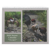 2020 3D digitale art Natuur agenda Kalender (Hoes)