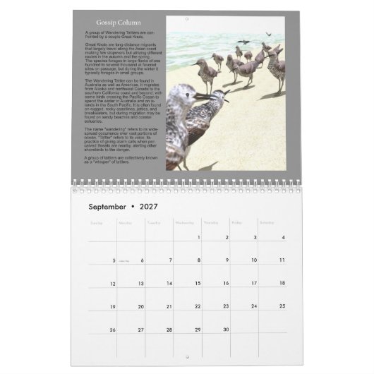 2020 3D digitale art Natuur agenda Kalender (Sep 2027)