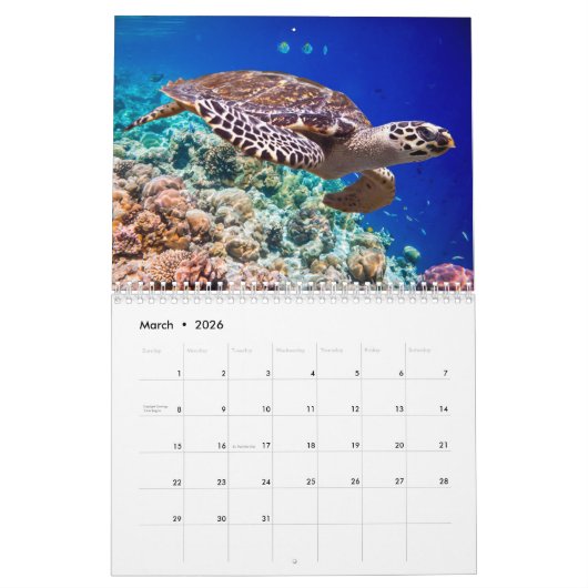 2020 Aangepaste agenda Kalender (Mar 2026)