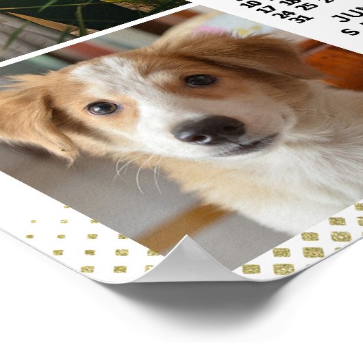 2020 Agenda Roze Goud Familie Foto Collage Poster (Hoek)