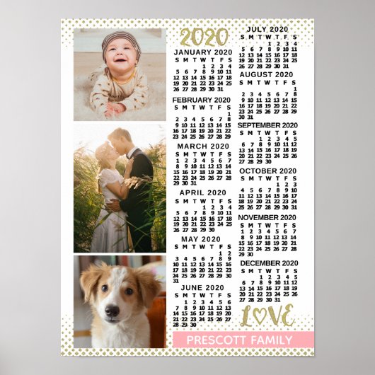 2020 Agenda Roze Goud Familie Foto Collage Poster (Voorkant)