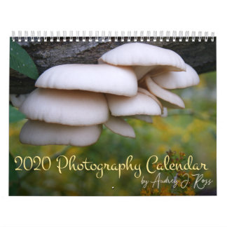2020 Agenda voor fotografie Kalender