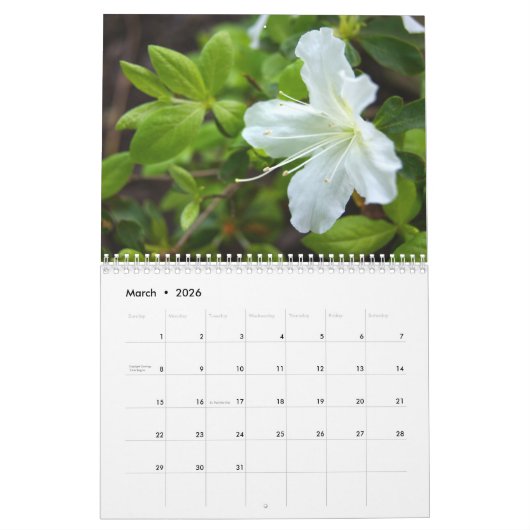 2020 Agenda voor fotografie Kalender (Mar 2026)