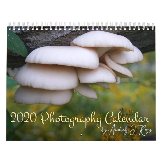 2020 Agenda voor fotografie Kalender (Hoes)