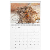 2020 Agenda voor fotografie Kalender (Jan 2027)