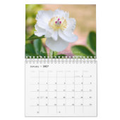 2020 Beauty of Peonies Kalender (Jan 2027)