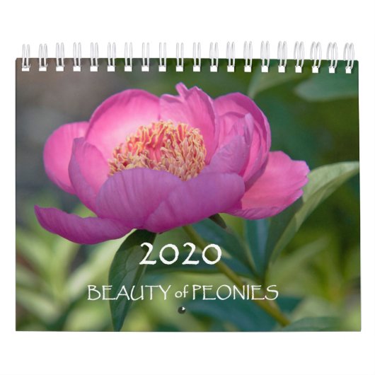 2020 Beauty of Peonies Kalender (Hoes)