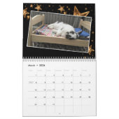 2020 Bunny Rescue & Education Kalender (Mar 2026)